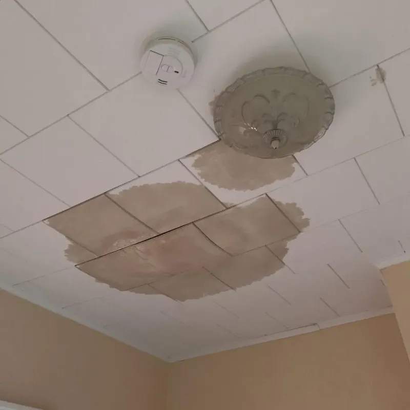 Ceiling Water Damage Repair in Enfield, ME