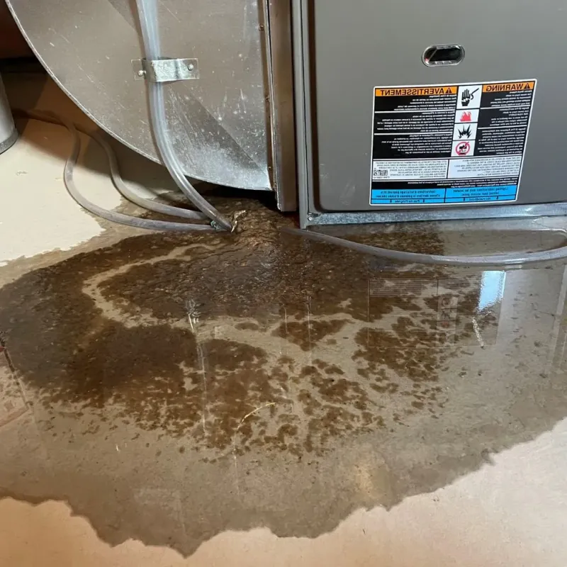 Pipe Burst and Leak Restoration in Enfield, ME