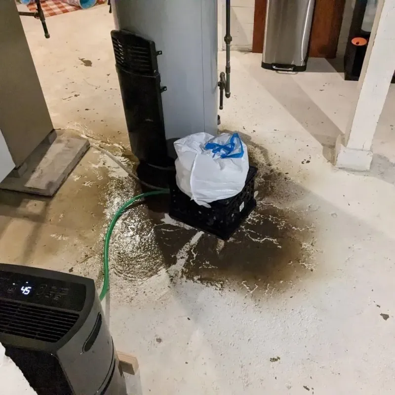 Sewage Backup Cleanup Service in Enfield, ME